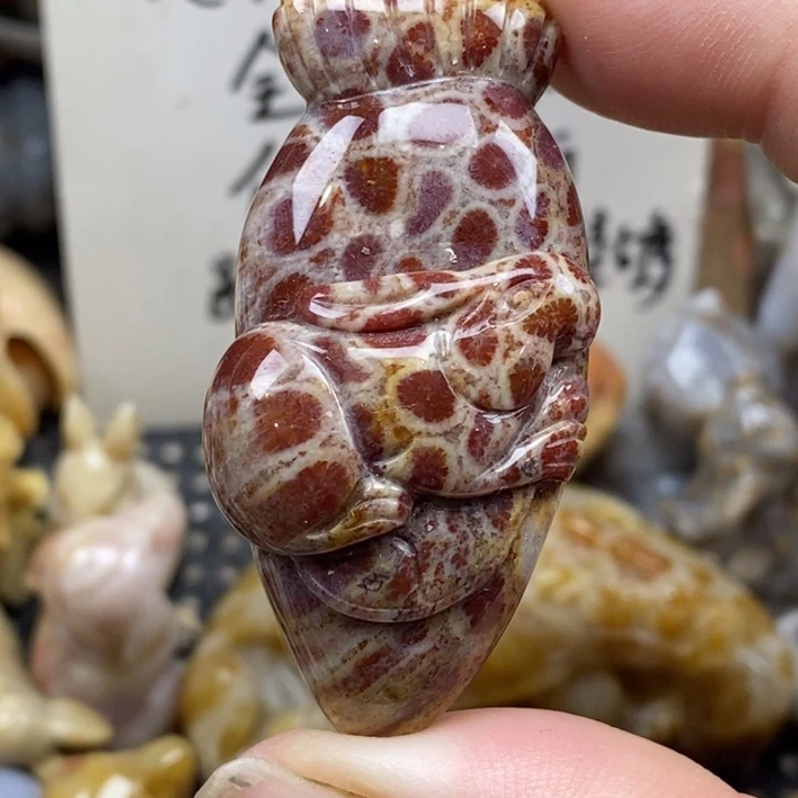 硅化珊瑚（珊瑚玉）未镶嵌颈饰