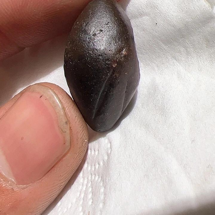 香榧木你的时候你是