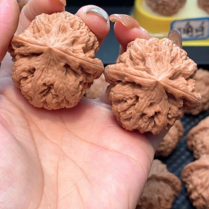 平谷大粗筋4.5全品无修。