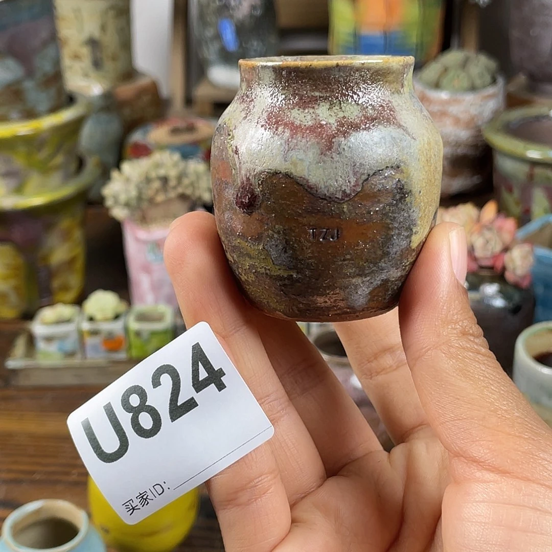 坛子姐花盆 拇指盆内口3.2