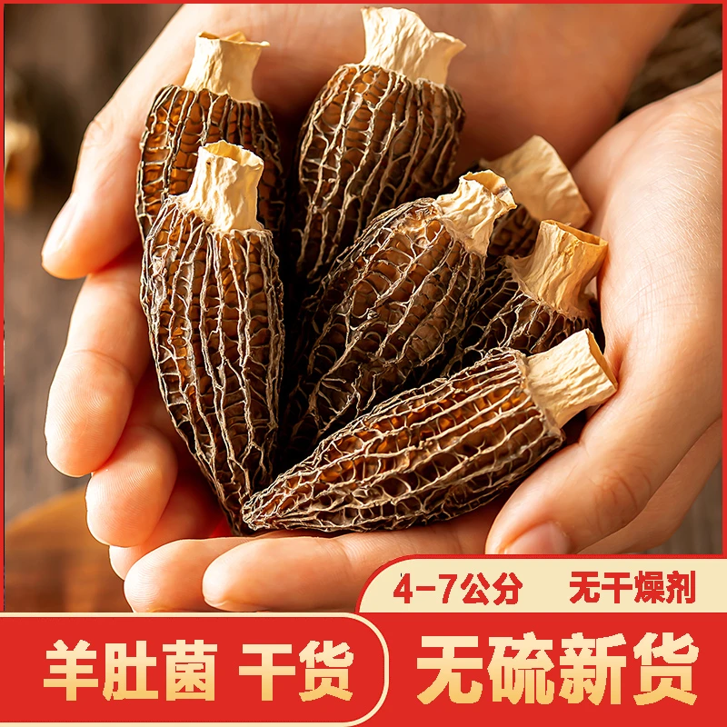 高山羊肚菌云南干货营养美特产云南高山羊肚菌菇食材不剪柄