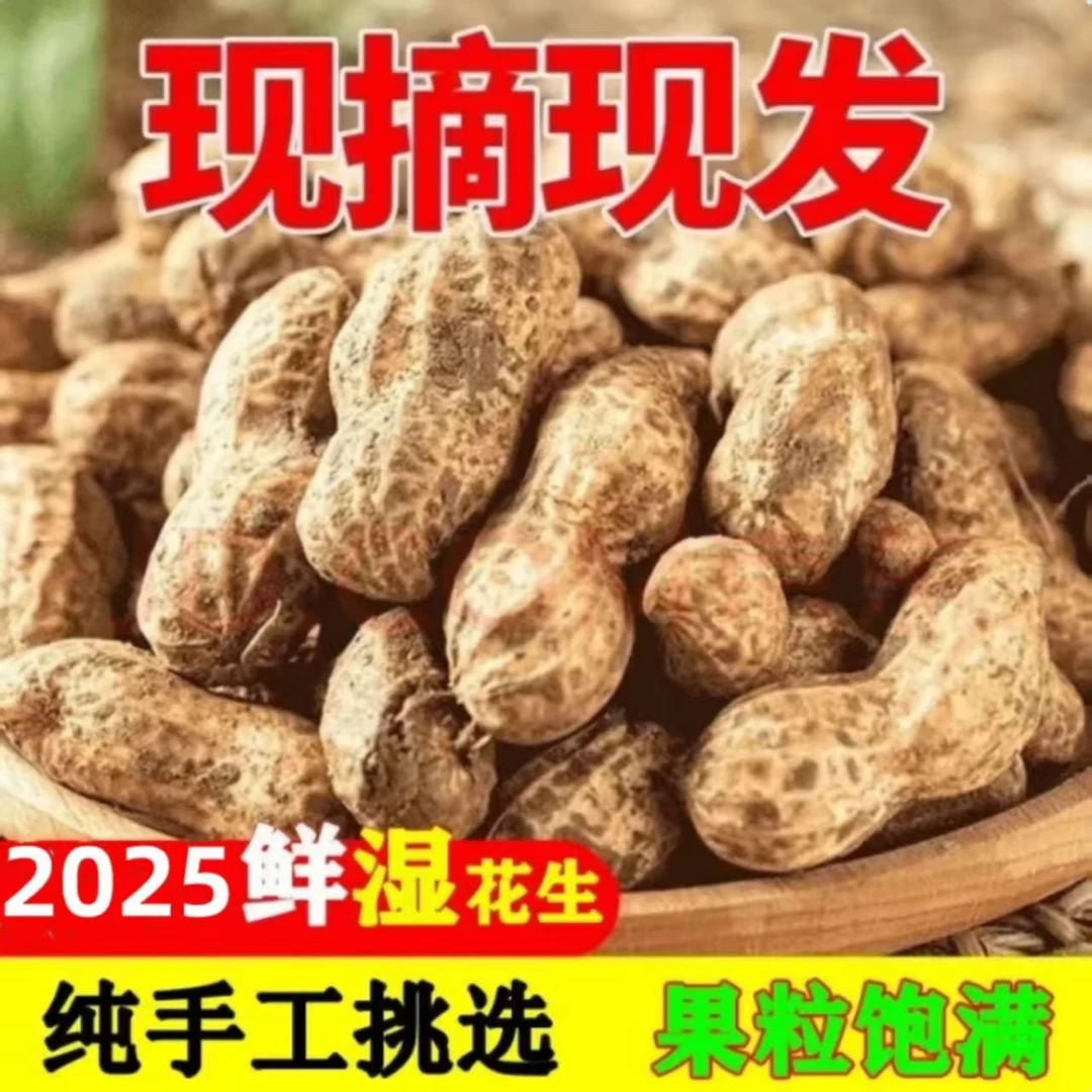 当季现摘鲜花生农家鲜花生河南特产鲜花生