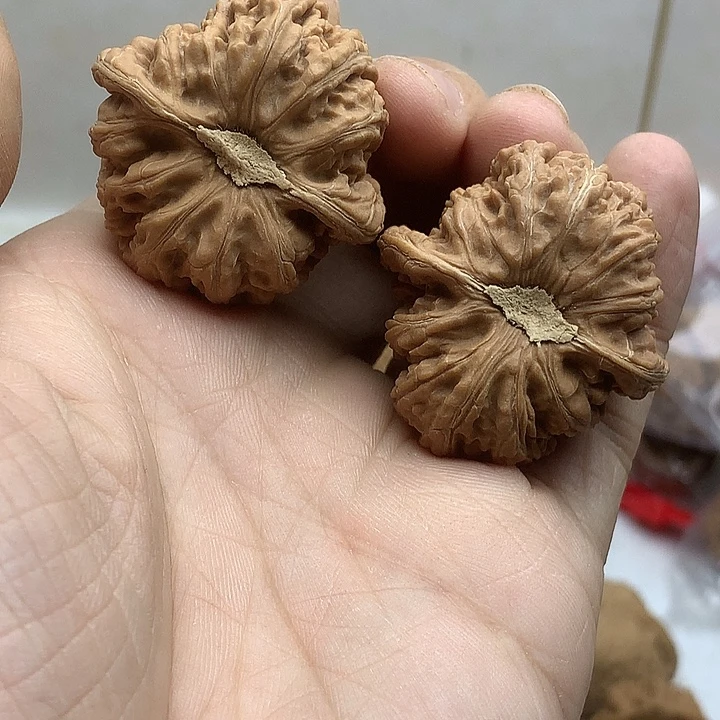 沧***士文玩核桃吊坠木塞底