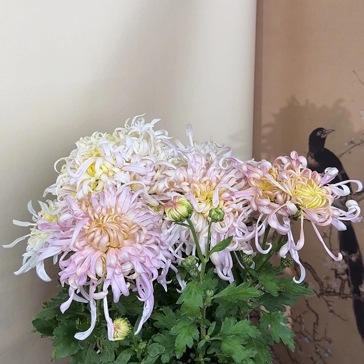 完全开放B1111111111