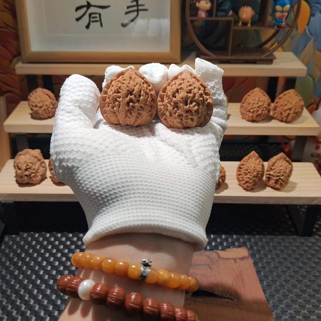 原生树金牛核桃39全品