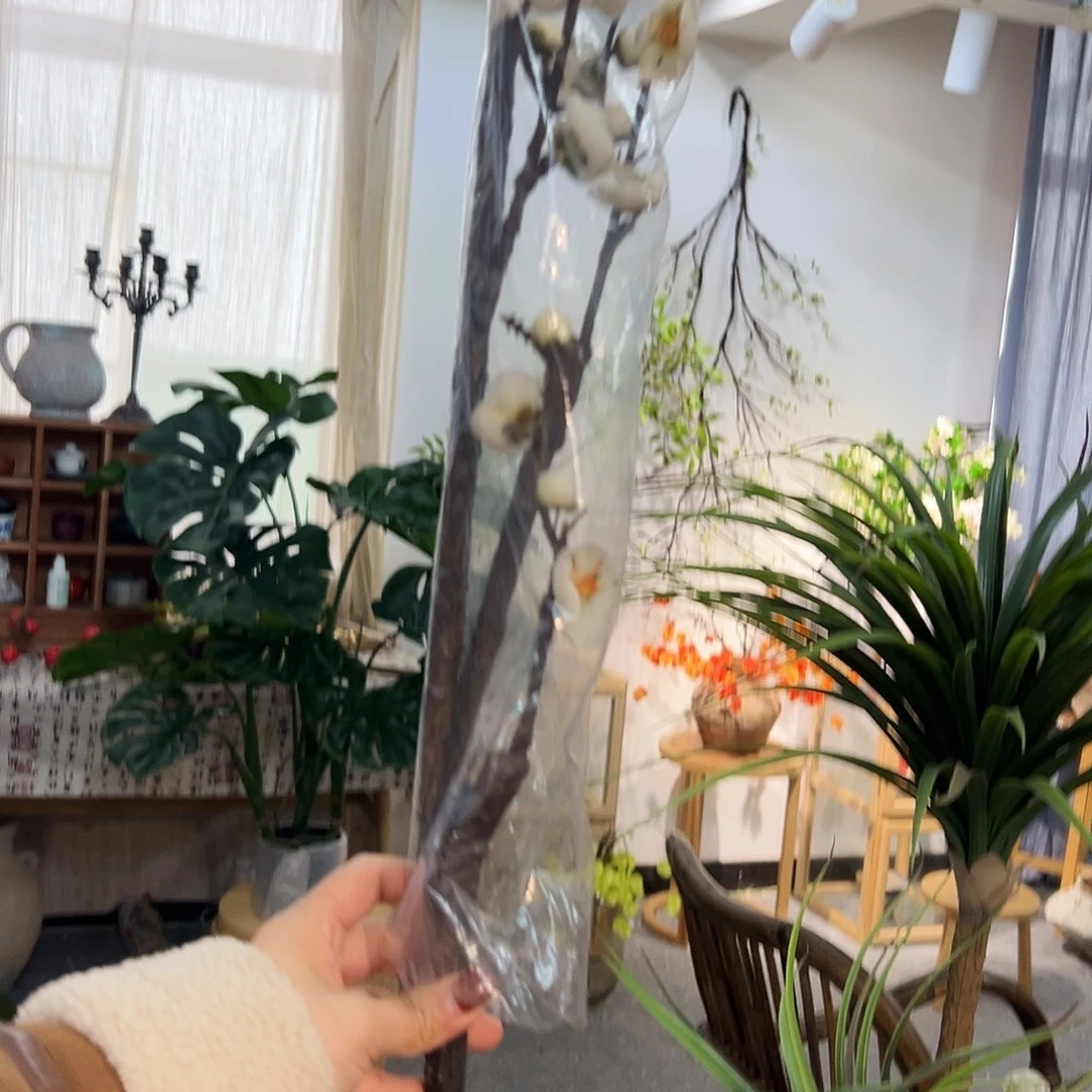 抖音直播腊梅一支