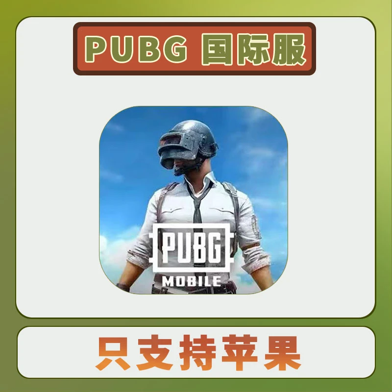 PUBG刺激战场 国际版 中文 正版游戏安装服务