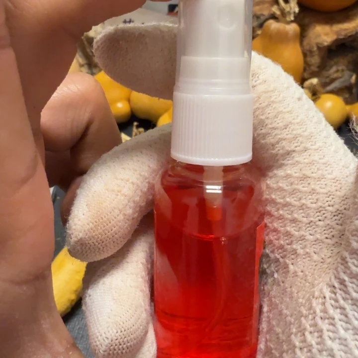 尚***猫6666……………………………………