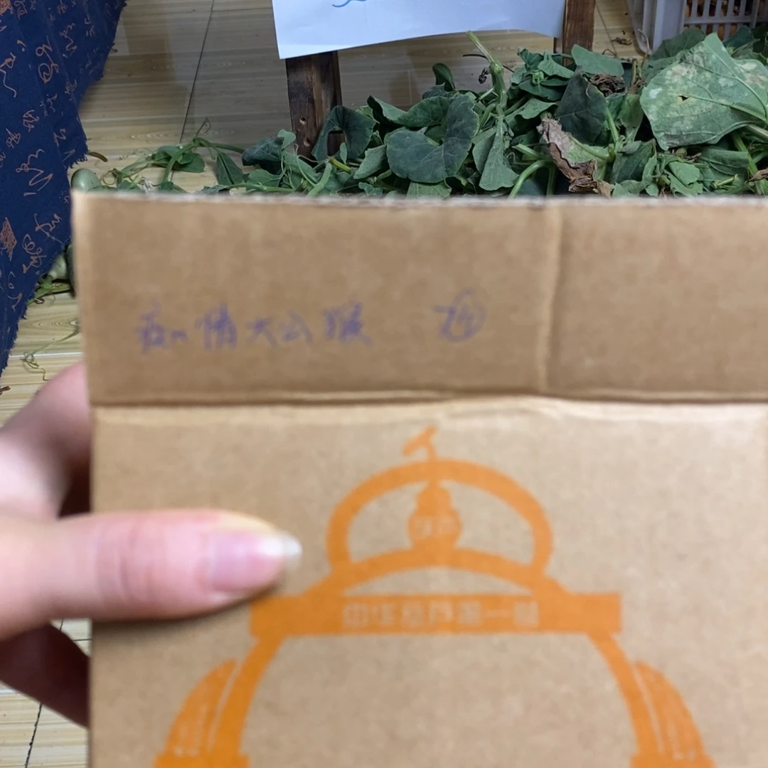 痴情大公猴的专属前排
