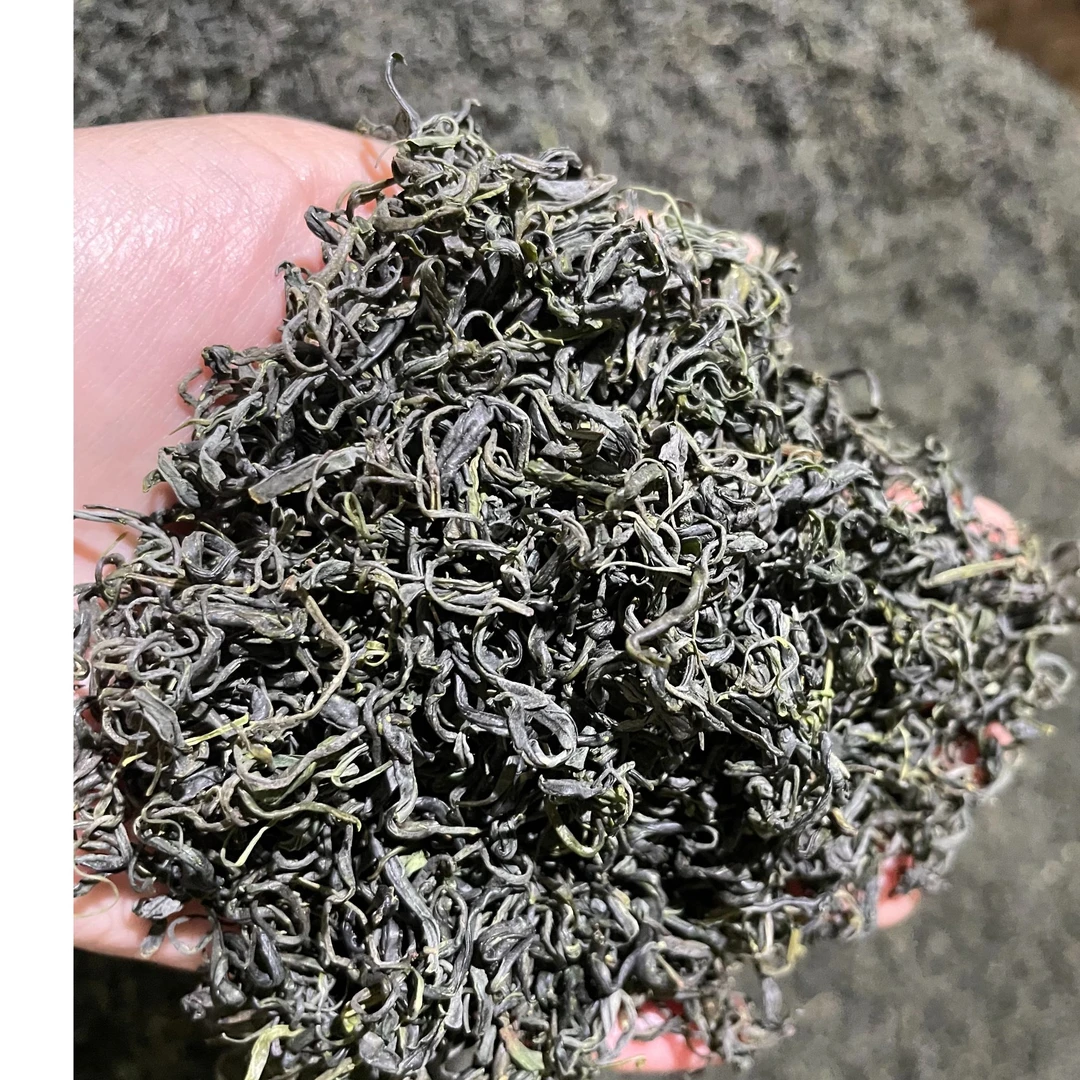 【2025紫阳毛尖炒青】紫阳绿茶毛尖炒青雨前栗香焕古茶叶直播青绿茶