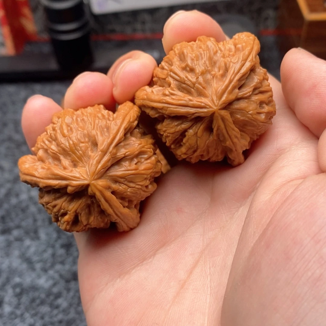 【闪购商品】白狮子