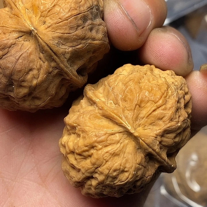 文玩核桃把件云南志成云铁75