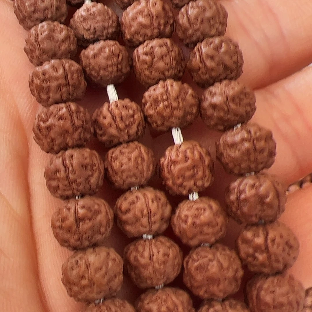 金刚菩提吊坠树王