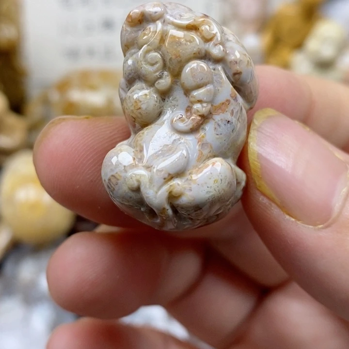 颈饰未镶嵌硅化珊瑚（珊瑚玉）小