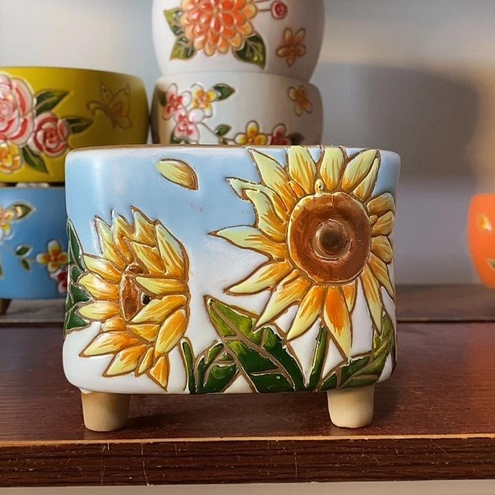 韩式多肉植物花盆