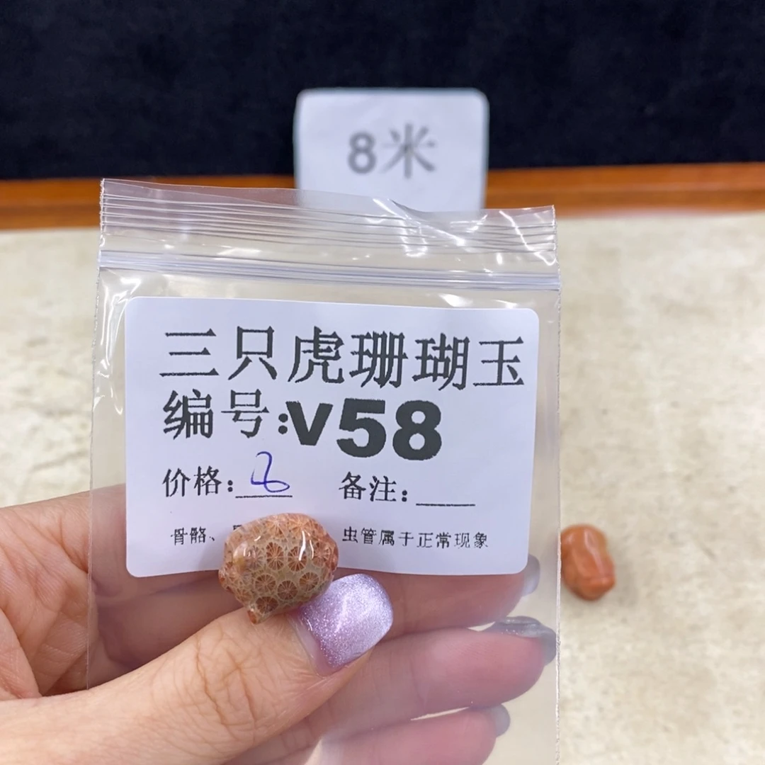 硅化珊瑚（珊瑚玉）未镶嵌1鱼*