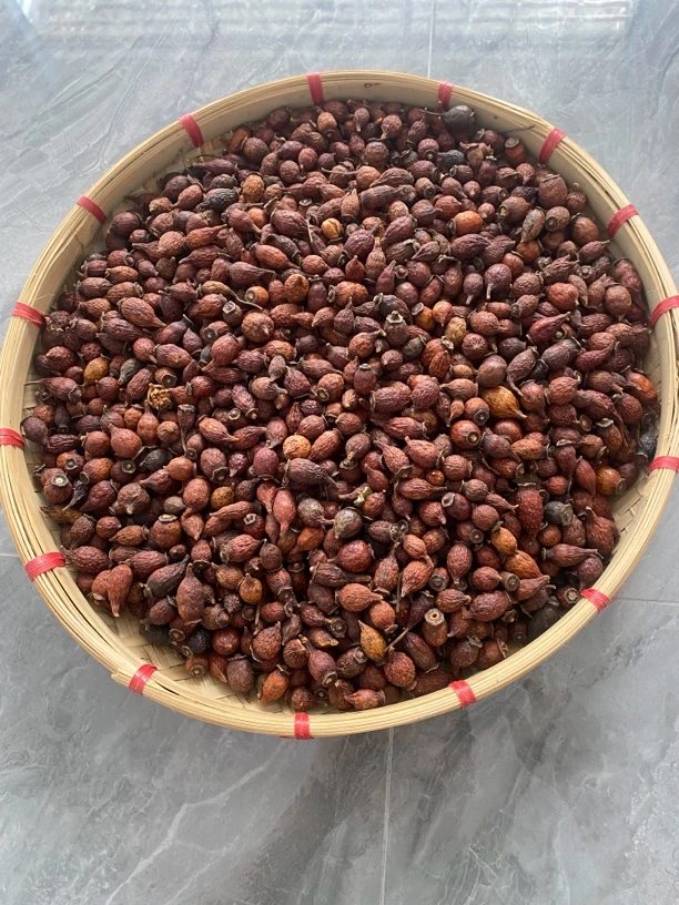 农村土特产自采金樱子泡酒煮水