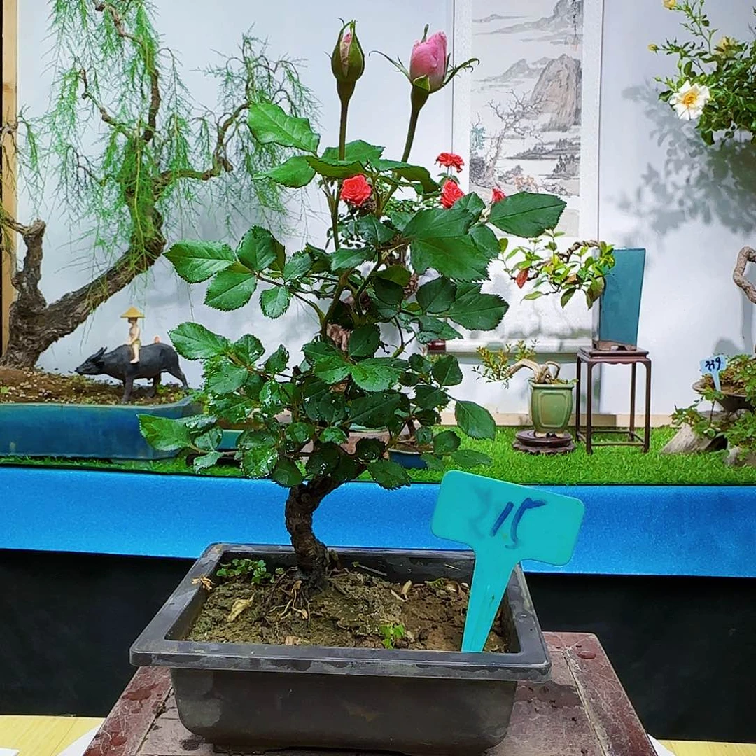 喜**在fjk l lc b j k k l