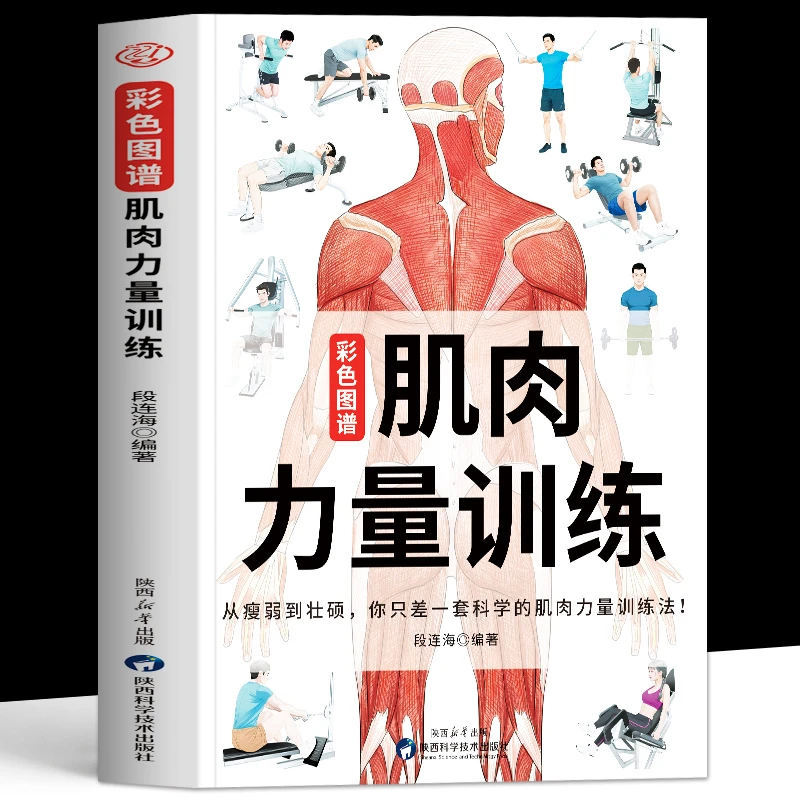 肌肉力量训练彩色图谱 人体肌肉结构图解运动解剖学图谱健身书籍