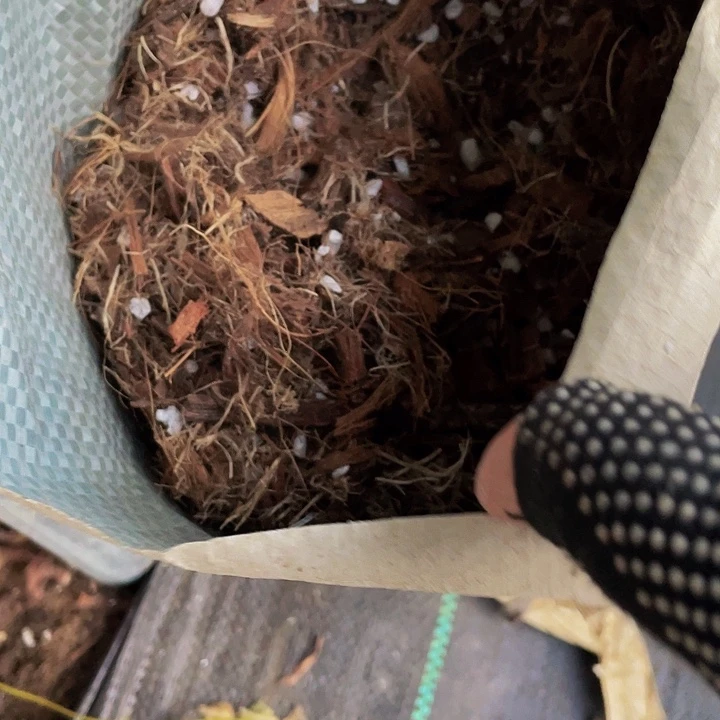 架接法师专用养护土01号