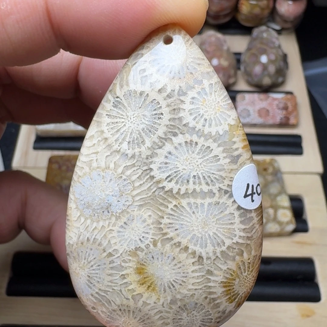 硅化珊瑚（珊瑚玉）未镶嵌纯天然色有机玉石保真色