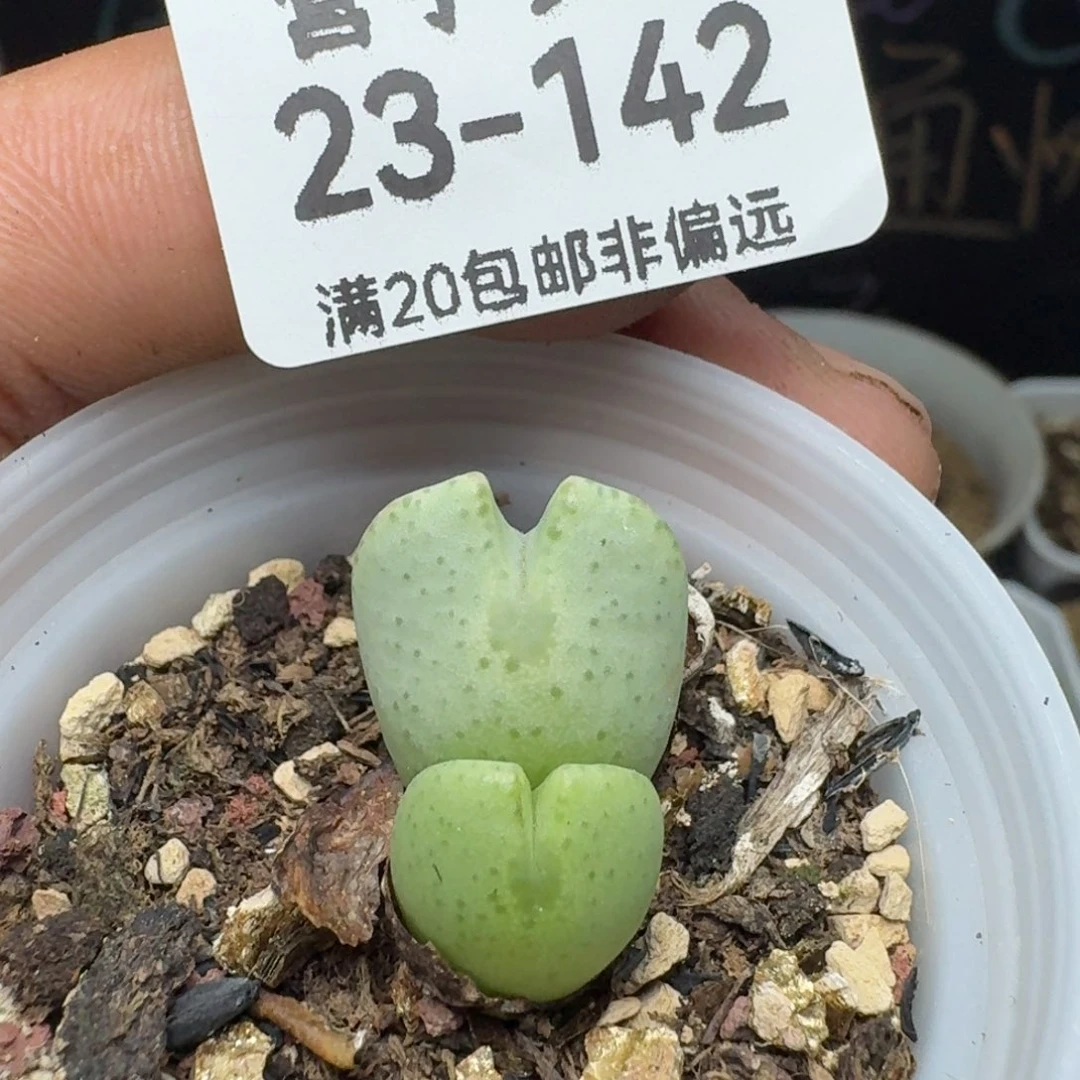 带盆土
