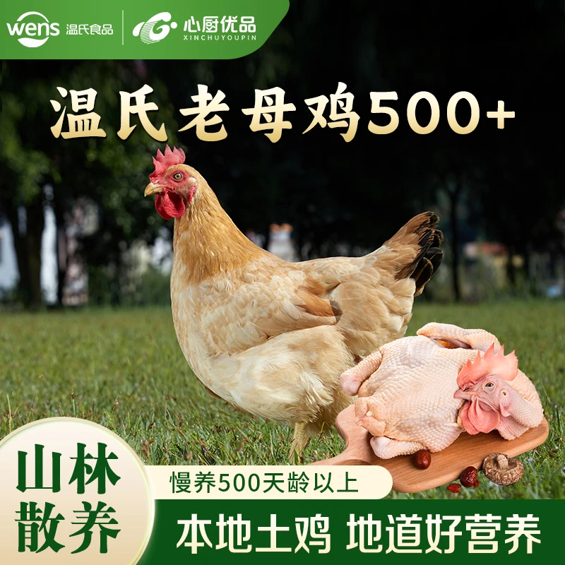 【老母鸡3只装】发顺丰500天以上温氏岭南老母鸡 2斤/只 煲汤盐焗