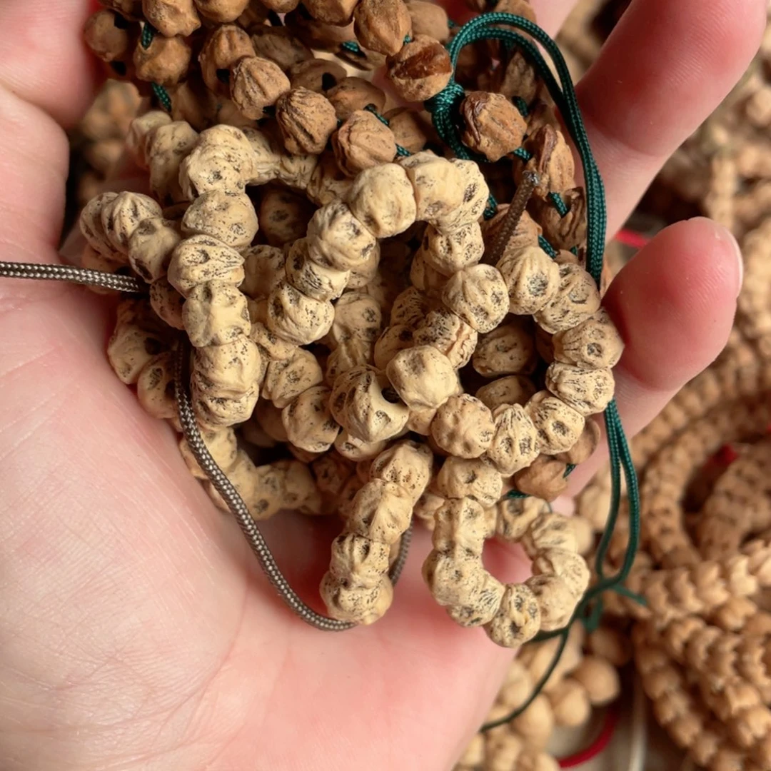 ****喵柏木热振柏香籽喵喵