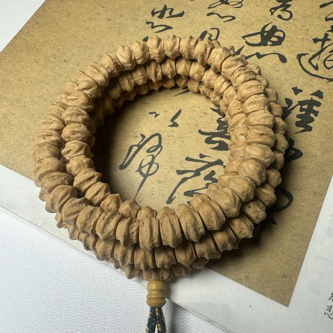 稀有皮质藏式横打