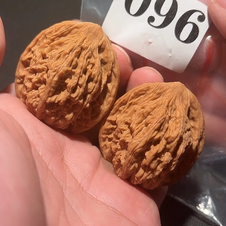 核桃1111111111111111