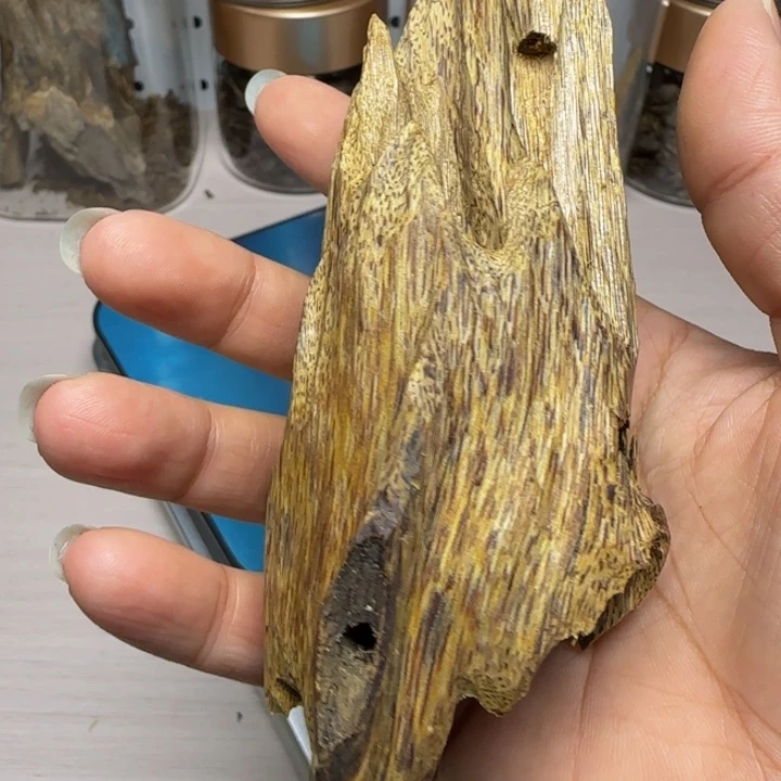 潜***水木手工艺大山野虫漏老料43克