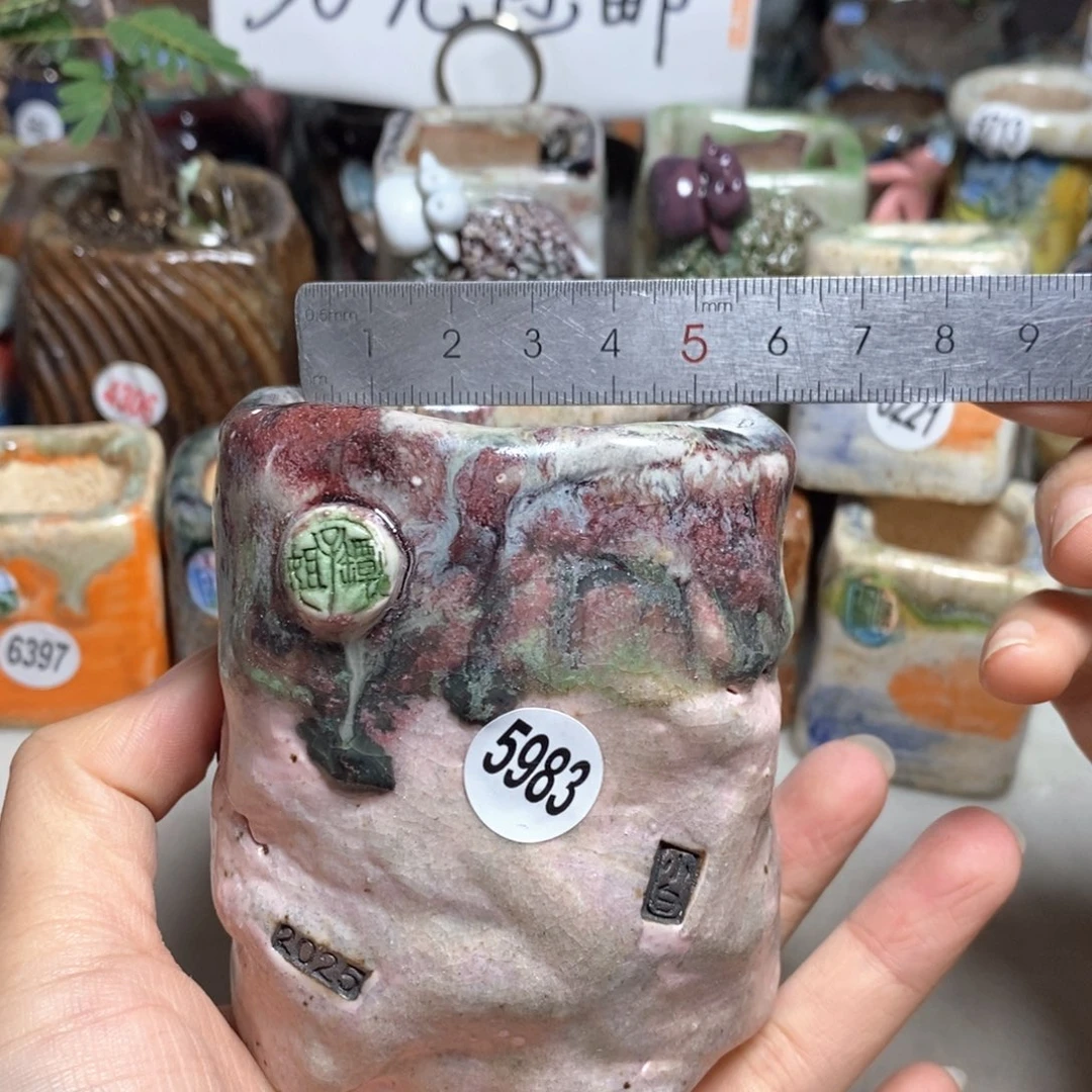 拍3送一个小礼物