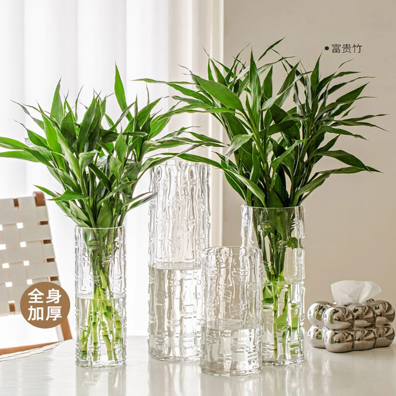 直筒大花瓶落地插花轻奢高级感水养富贵竹花瓶ins风高颜值摆件