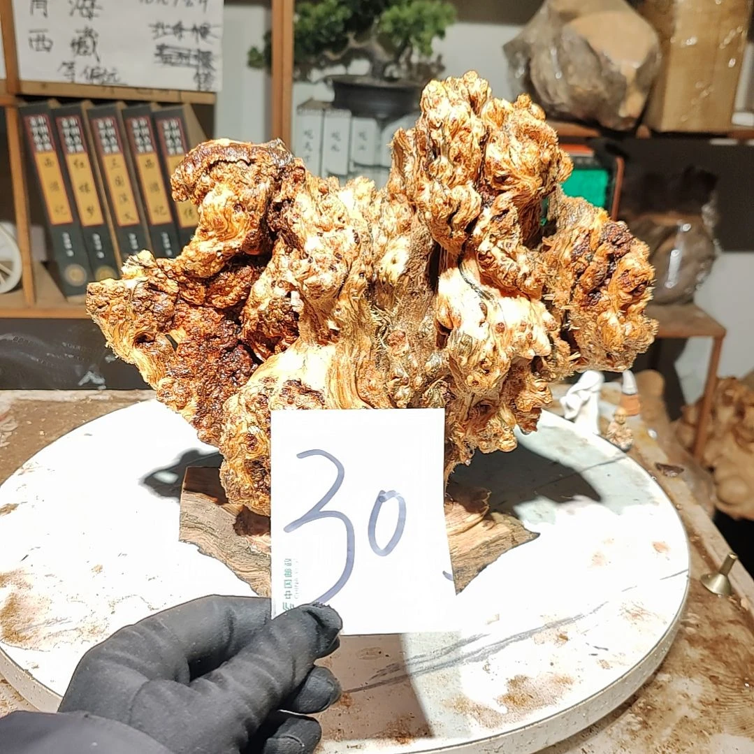松木橄*树30号北沉香琥珀木天然造型