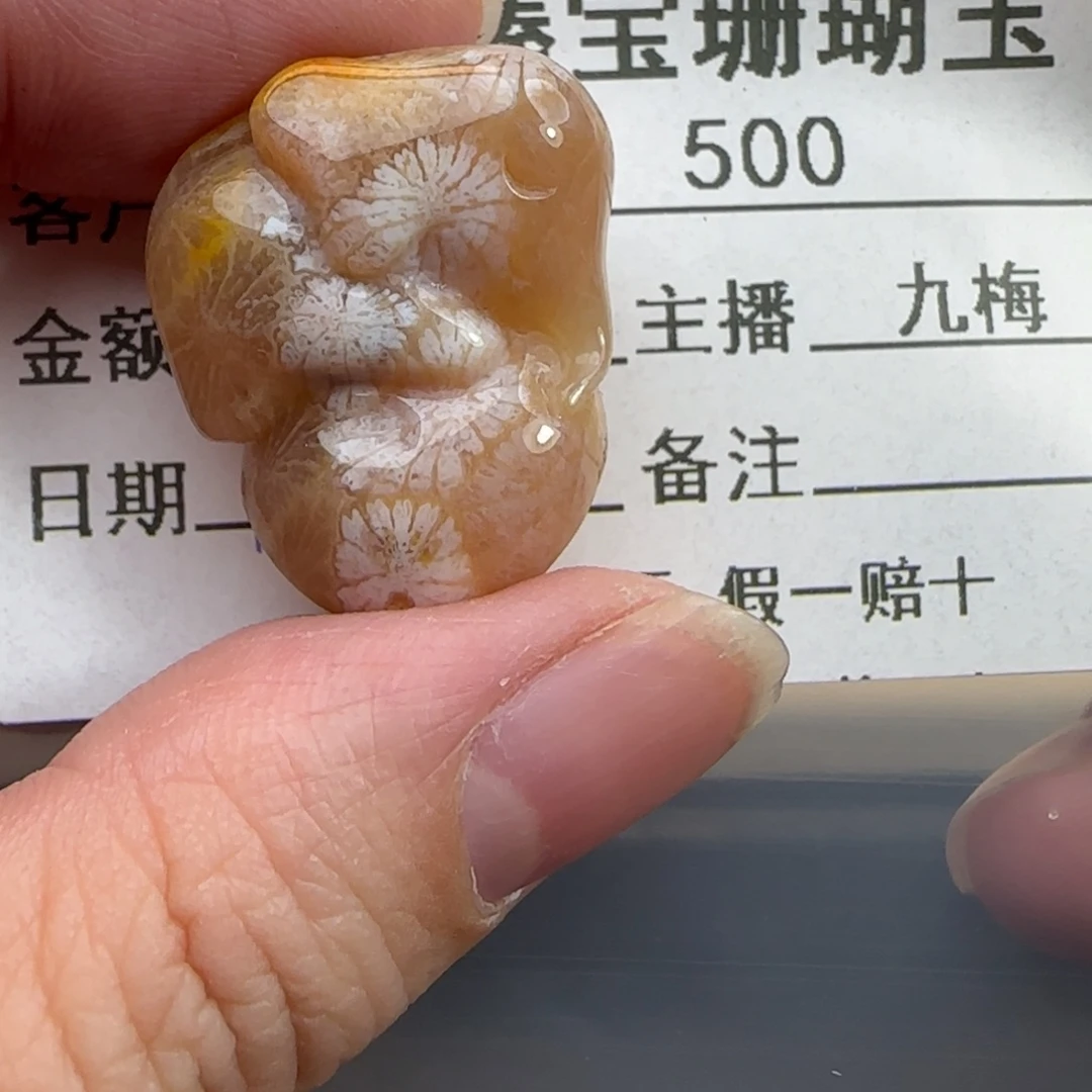 硅化珊瑚（珊瑚玉）未镶嵌吊坠(不含链)