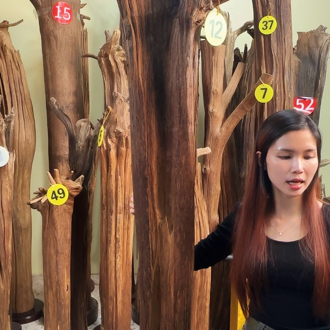 沉香沉香碎屑天然沉香原材料香料熏料