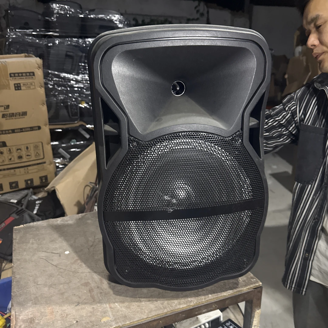 9新  12寸音响电池坏，有杂音，不包邮，裸机