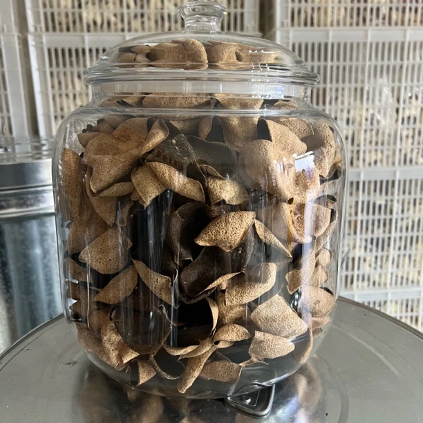 直播临时链接、新会陈皮