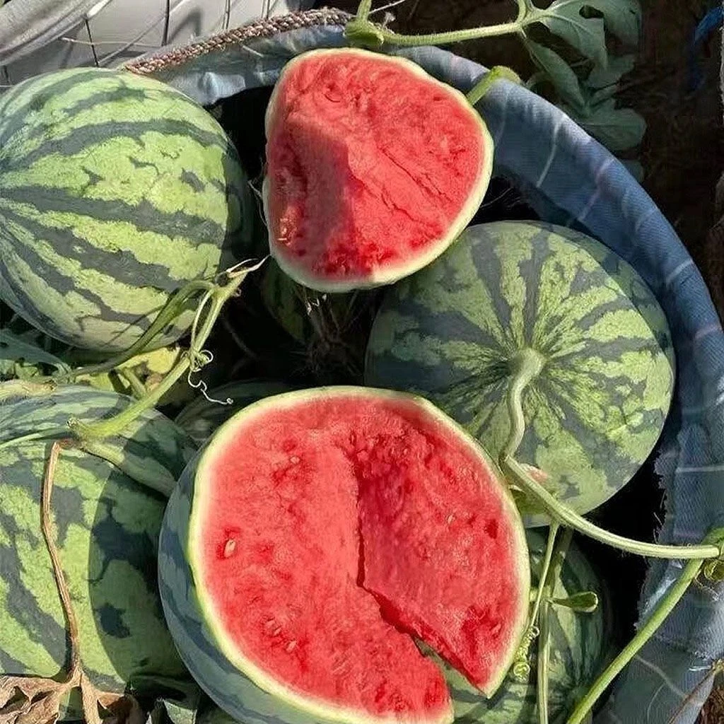 整件美都麒麟瓜皮重约36斤（4个）新鲜湖南省