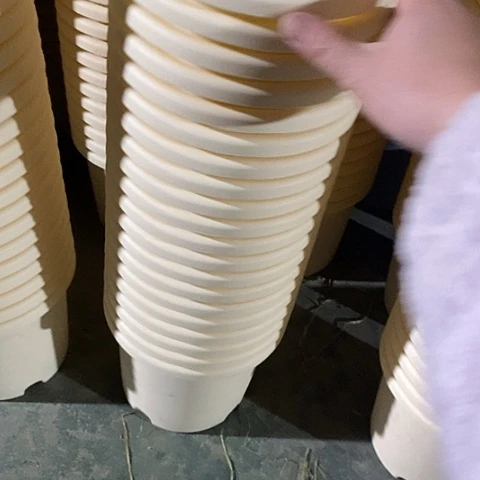 树脂特价2号13个无托米黄