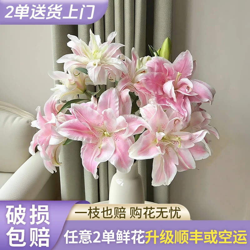 【花王朝】魔法公主香水百合任意2单花材升级快递发货后不支持退款
