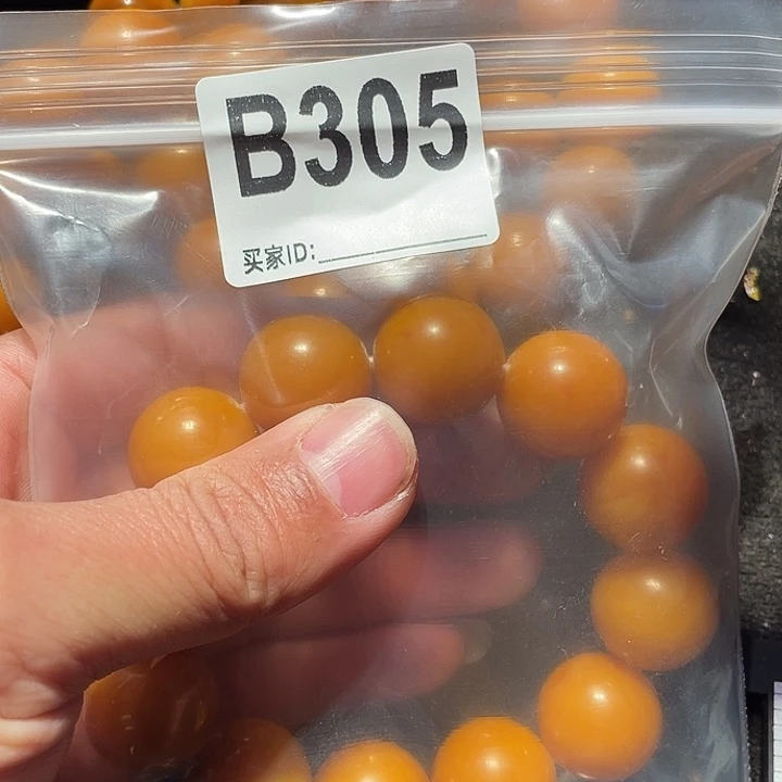 大果紫檀（缅甸花梨）305