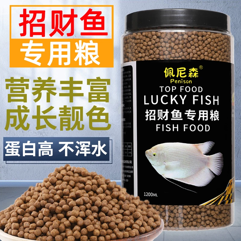 招财鱼饲料专用鱼食地图鱼白战船鱼热带观赏鱼发财鱼鱼粮食高蛋白