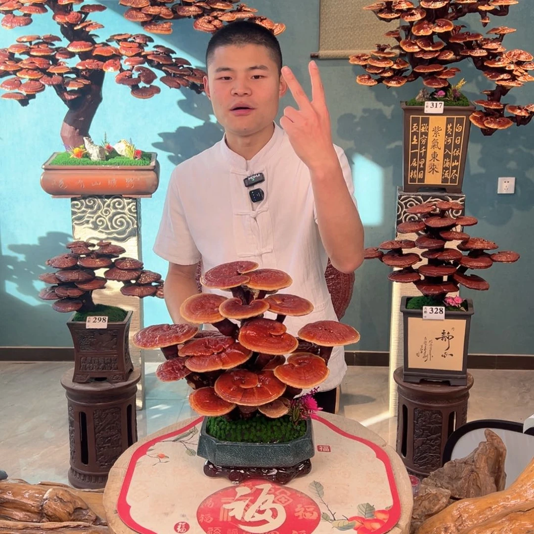 无花朵88888888888888888