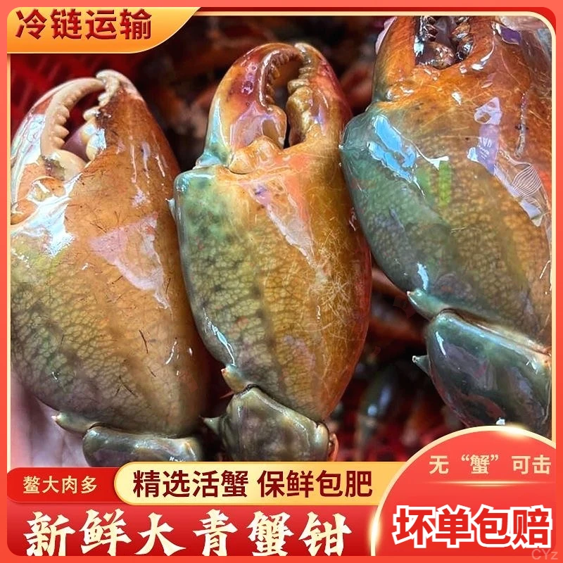 螃蟹腿钳特大超大冷冻野生青蟹钳新鲜香辣脚青蟹钳子蟹脚鲜活商用
