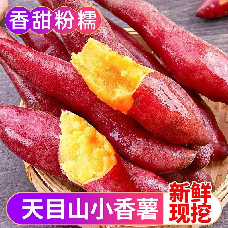 天目山小香薯新鲜现挖黄心板栗味软糯香甜地瓜番薯