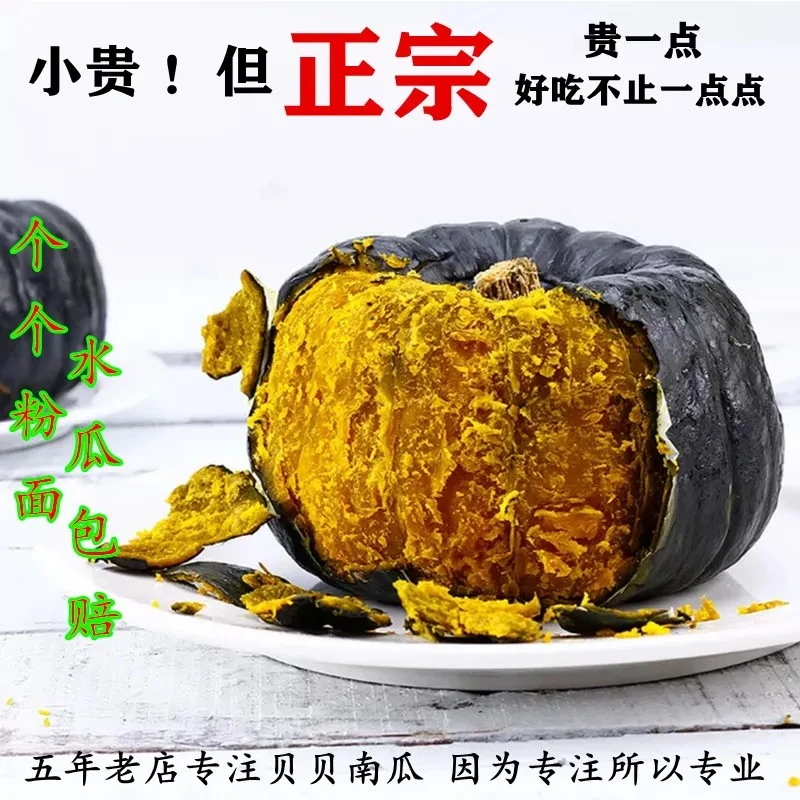 粉糯香甜板栗味贝贝南瓜适合宝宝辅食和中老年膳食