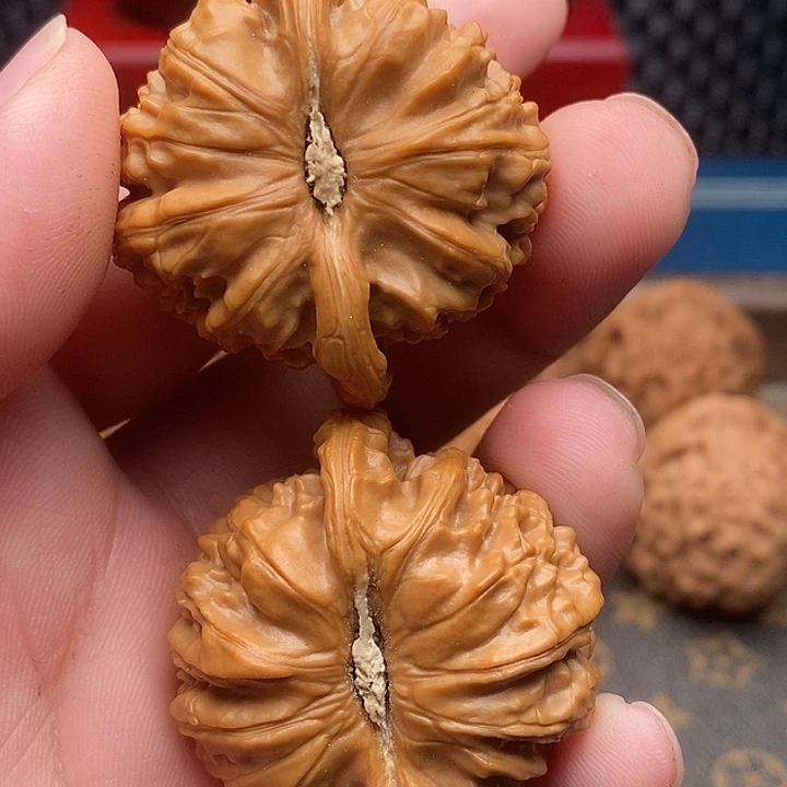 文玩核桃把件白狮子