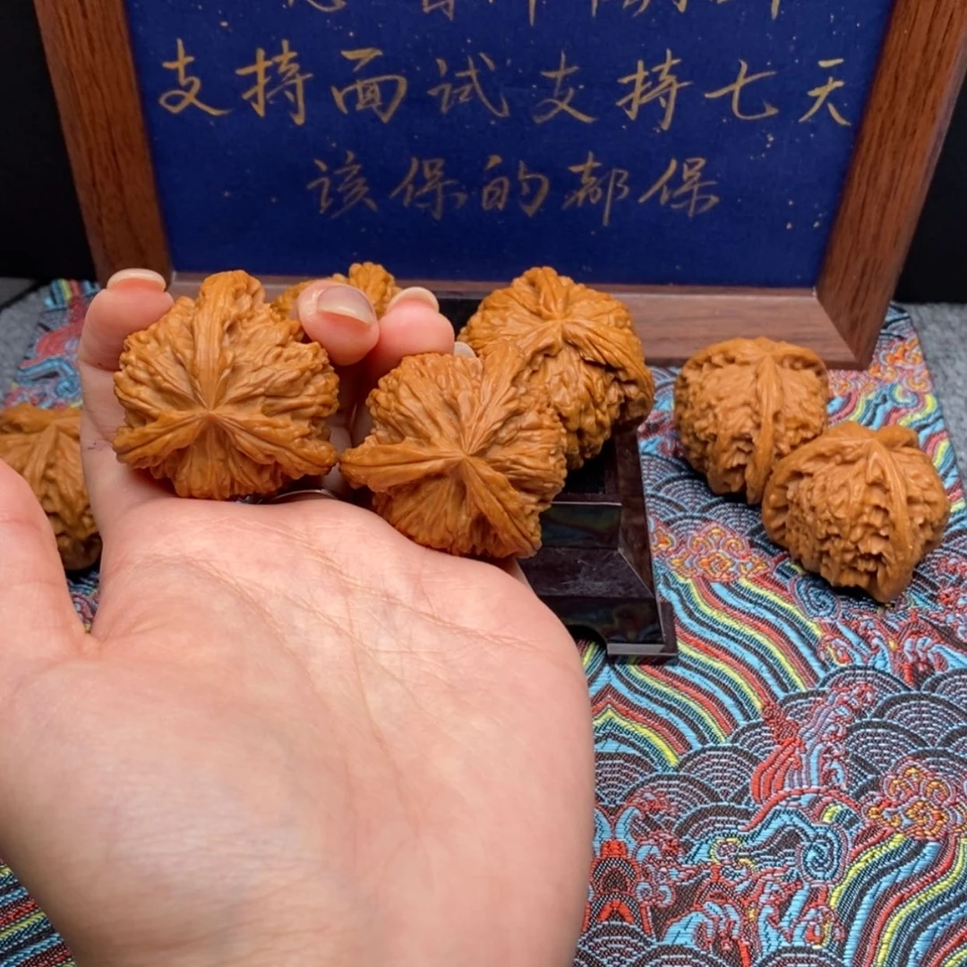 【闪购商品】活**趣白狮