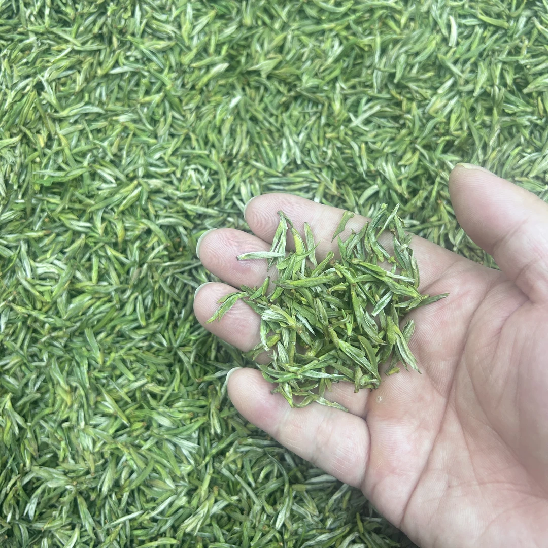 2024年明前特级黄山毛峰兰花香